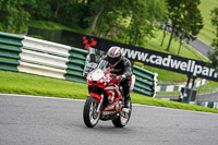 cadwell-no-limits-trackday;cadwell-park;cadwell-park-photographs;cadwell-trackday-photographs;enduro-digital-images;event-digital-images;eventdigitalimages;no-limits-trackdays;peter-wileman-photography;racing-digital-images;trackday-digital-images;trackday-photos